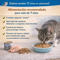 Alimentación recomendada para más de 7 años